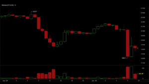 Bitcoin Crashes to $58,035, Wiping $40 Billion From Crypto Ecosystem in 24 Hours