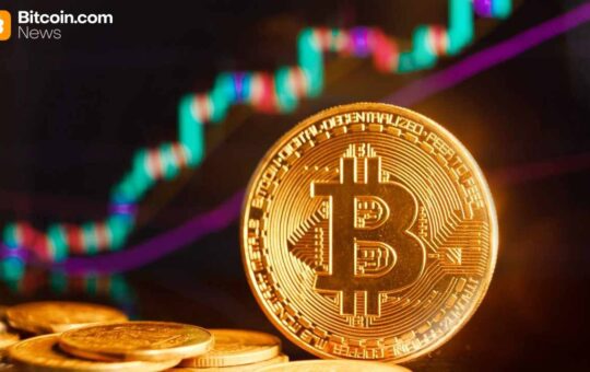 Bitcoin Whales Reverse 12-Day Slide as ‘Massive Supply Shock’ Emerges