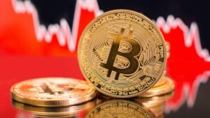 Bitcoiners Stand Firm Even if Bitcoin Crashes to $0