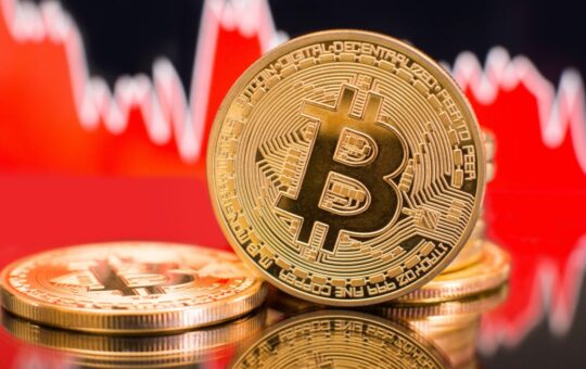 Bitcoiners Stand Firm Even if Bitcoin Crashes to $0