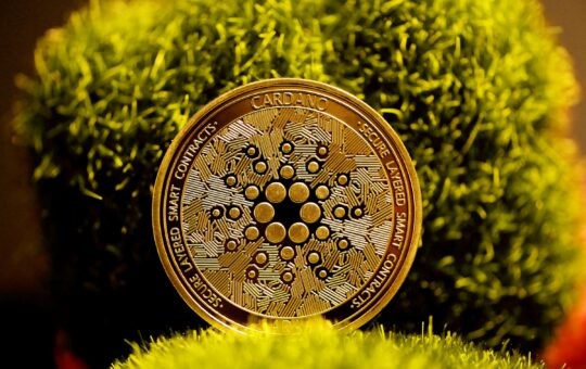 Cardano