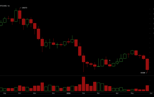 Here's Why Bitcoin's 50% Drop Looks Mild Next to What Several Altcoin Holders Are Sitting On