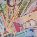 How the Network Processed $309 Million in Stablecoins Last Month