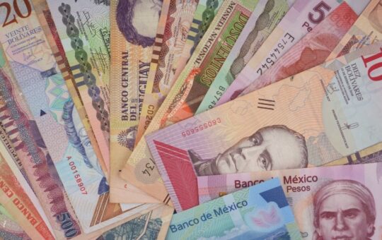 How the Network Processed $309 Million in Stablecoins Last Month