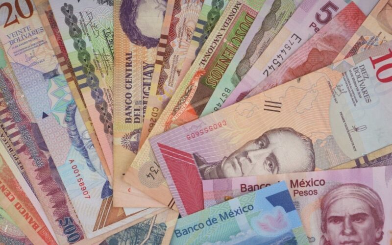 How the Network Processed $309 Million in Stablecoins Last Month