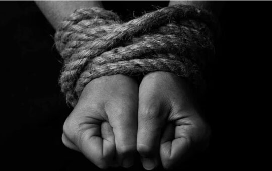 Massive Bitcoin Theft Case Draws Guilty Plea in Violent Kidnapping Plot