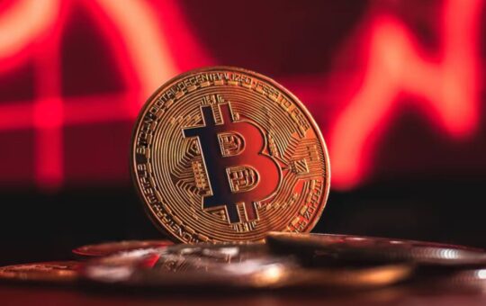 Peter Brandt Warns Bitcoin May Drop Further as October Becomes Key Window