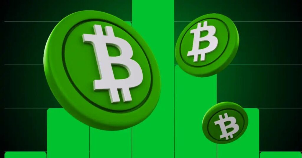 Sellers Turn Dominant on Bitcoin Cash Price Rally—Can the Bulls Defend the $200 Support Zone?