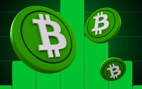 Sellers Turn Dominant on Bitcoin Cash Price Rally—Can the Bulls Defend the $200 Support Zone?