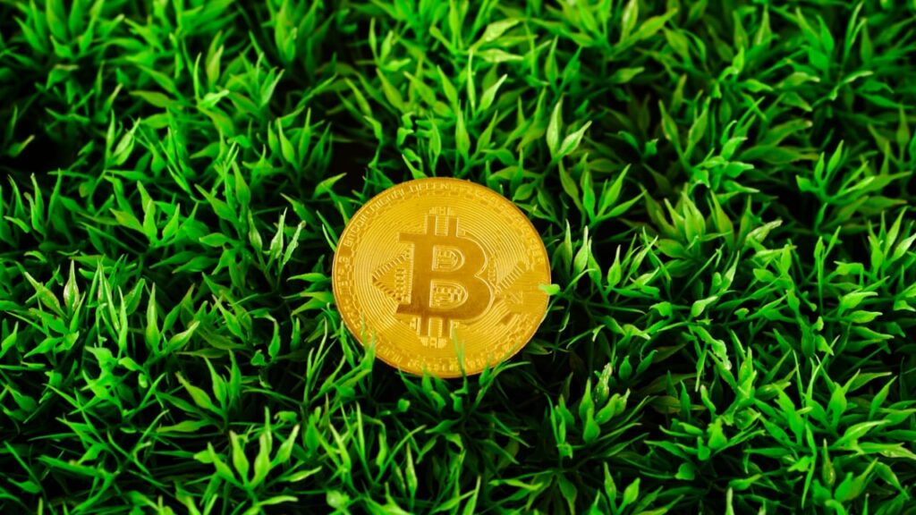 Standard Chartered Declares End of Crypto Winter