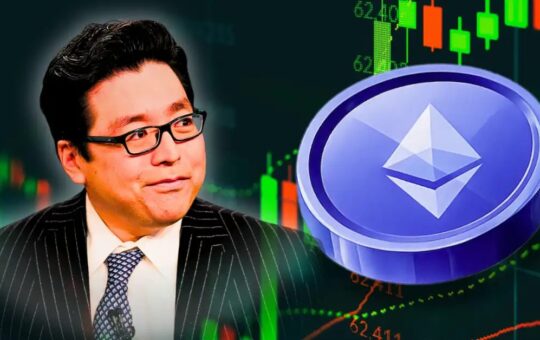 Tom Lee's BitMine Seeks $300 Million Raise to Buy More Ethereum