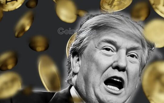 Trump Crypto Empire Earns $2.3 Billion While Investors Face Heavy Losses