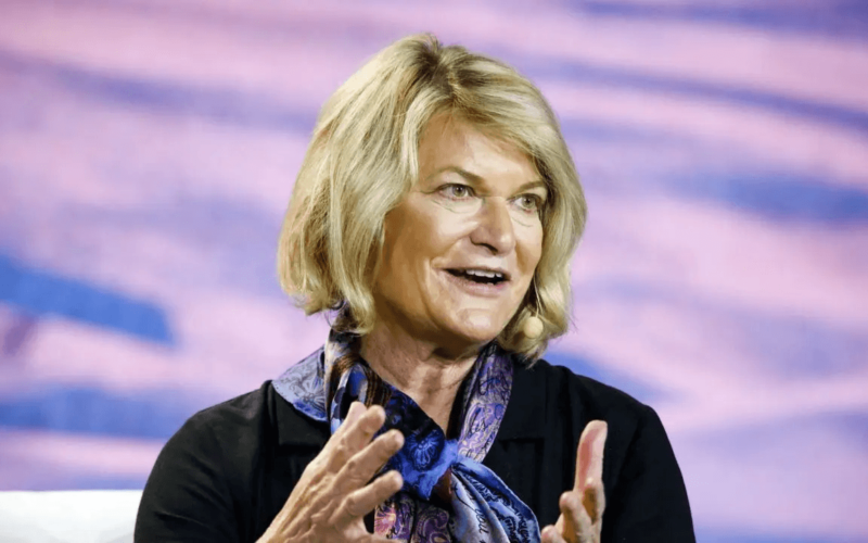 Why Lummis Says the CLARITY Act Will End the 'Absurdity' Facing US Software Developers