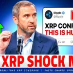XRP NEWS TODAY: XRP JUST GOT CONFIRMED?! This Is Huge