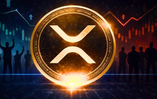 XRP Ranks Third Behind BTC and ETH