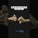 #news #trump #trading #crypto #stocks #forex