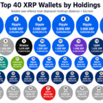 55.84 Billion XRP Appears Across the Top 40 Wallets, but Escrow Changes the Picture