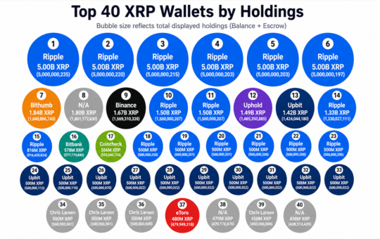 55.84 Billion XRP Appears Across the Top 40 Wallets, but Escrow Changes the Picture