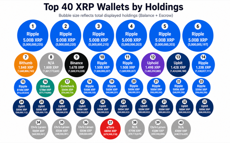 55.84 Billion XRP Appears Across the Top 40 Wallets, but Escrow Changes the Picture