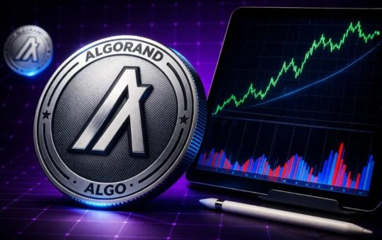 ALGO Price Risks Drop to $0.05 Despite Strong On-Chain Growth
