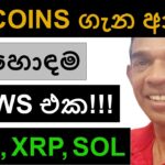 ALTCOINS ගැන ආව හොඳම NEWS එක!!! | ADA, XRP, BLESS, AND SOL | BITCOIN