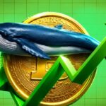 Bitcoin Indicators Flag Best Entry Point for Long-Term Investors