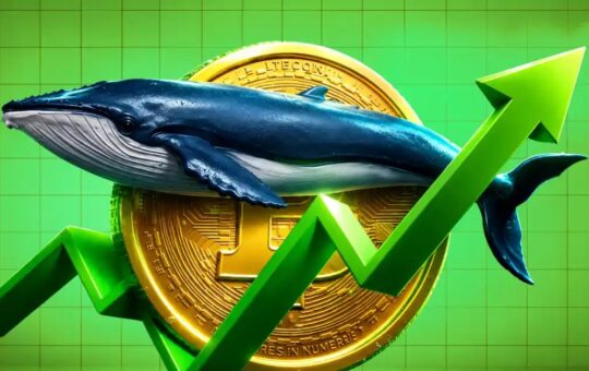 Bitcoin Indicators Flag Best Entry Point for Long-Term Investors