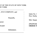 Bitcoin Policy Institute Fights $293B Wallet Grab as Noah Doe Court Date Nears