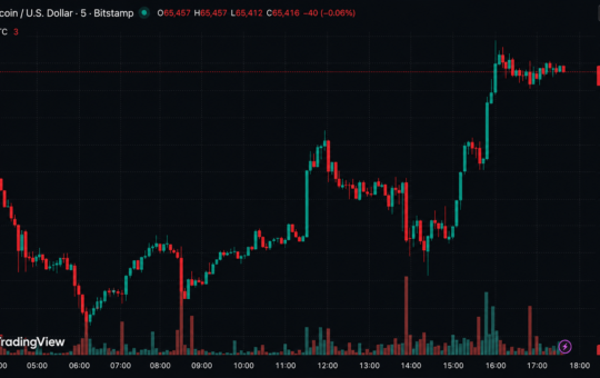 Bitcoin Roars Back Above $65K as Iran War Fails to Break Whale Buying Frenzy