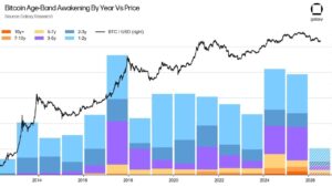 Bitcoin Whales Are Not Selling Over Quantum Fears, Analyst Says