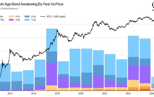 Bitcoin Whales Are Not Selling Over Quantum Fears, Analyst Says