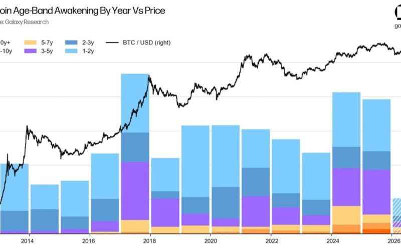 Bitcoin Whales Are Not Selling Over Quantum Fears, Analyst Says
