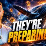 Bitcoin Whales Just Made a Massive Crypto Bull Market Bet!