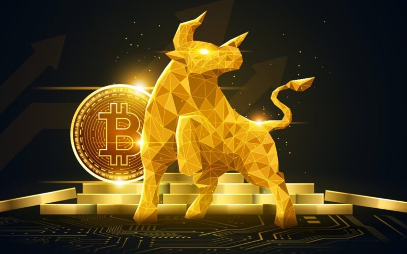 Bitwise Sees Bottom Forming Ahead of Fall Rally