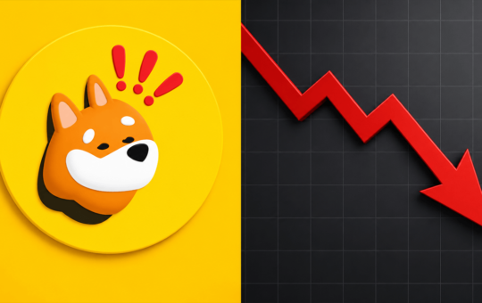 BonkDAO Treasury Loses $20M in Malicious Governance Attack, BONK Slides 8%