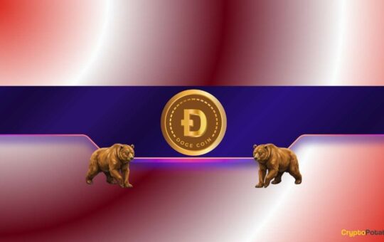 Can Bulls Repair the Damage?