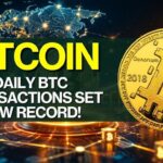 Crypto Market Pulse: Daily BTC Transactions Set New Record!। Top News। Powered by CoinSwitch