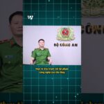 Đây hiện chỉ mới đề xuất #WolfCapital #luattaisanso #sanviet #cryptonews