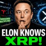 ELON KNOWS RIPPLE & XRP! – RIPPLE ALMOST SHUT DOWN! – WE HOLD XRP NOT RIPPLE STOCK!