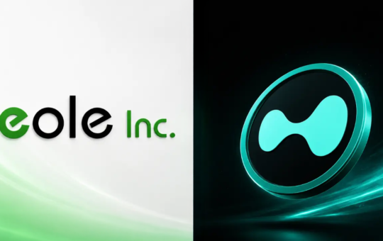 Eole Makes Japan's First HYPE Treasury Buy, Targets a $611K Stake