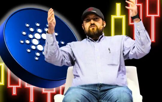 Hoskinson's Views on Cryptocurrency and Politics