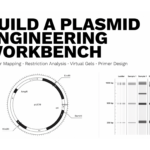How to Build Plasmid Engineering Workbench with Circular Mapping, Restriction Analysis, Virtual Gels, and Primer Design