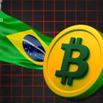 IMF Warns Brazil’s Stablecoin Boom Could Shake Its Economy