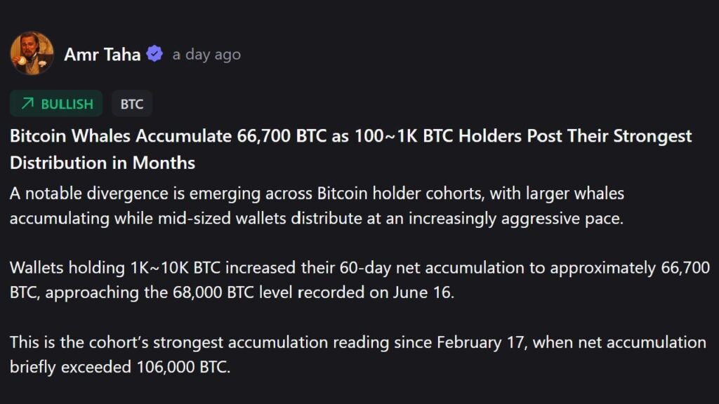 The Dramatic Shift in Bitcoin Ownership Splitting the Market