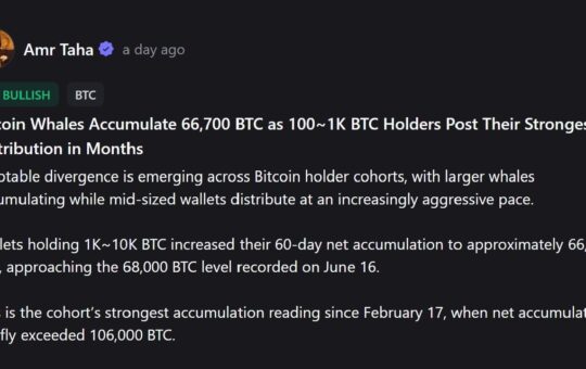 The Dramatic Shift in Bitcoin Ownership Splitting the Market