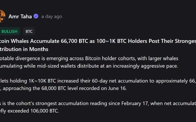 The Dramatic Shift in Bitcoin Ownership Splitting the Market