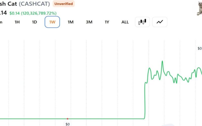 This Trader Sold His CASHCAT for $711 Instead of Retiring: Here's the Math