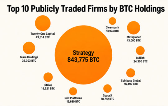 Top 10 Publicly Traded Firms by BTC Holdings Reveal a Million-Bitcoin Power Bloc