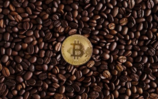 Vanadi Coffee's Bitcoin Pivot Soured by Exorbitant Board Fees and Shareholder Revolt