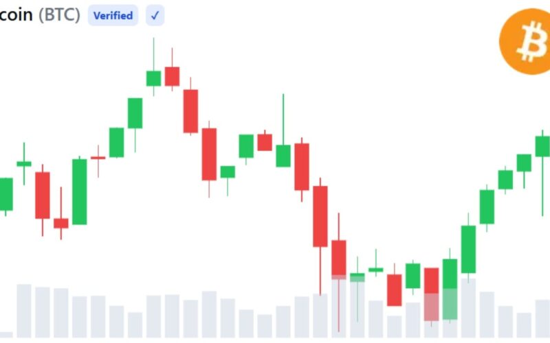 Whale Buying Hints at Bitcoin Bottom After Worst Month Since 2022 — 3 Signals to Watch
